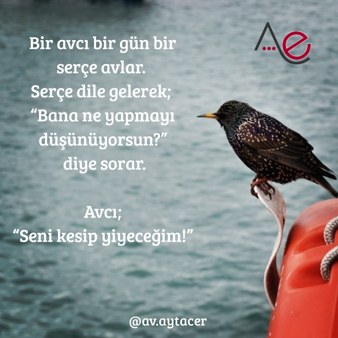 20191130_200607_0000