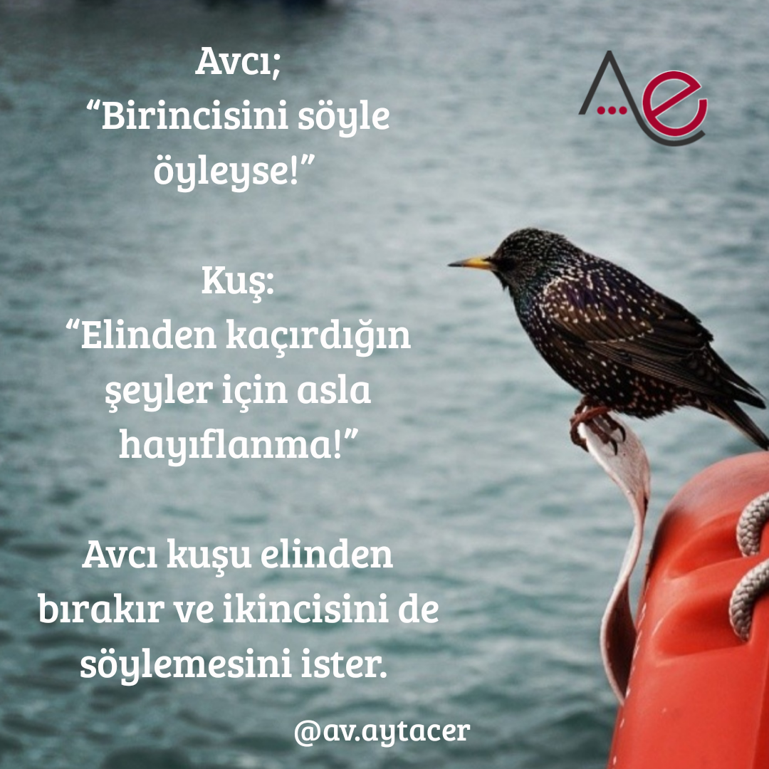 20191130_201054_0000