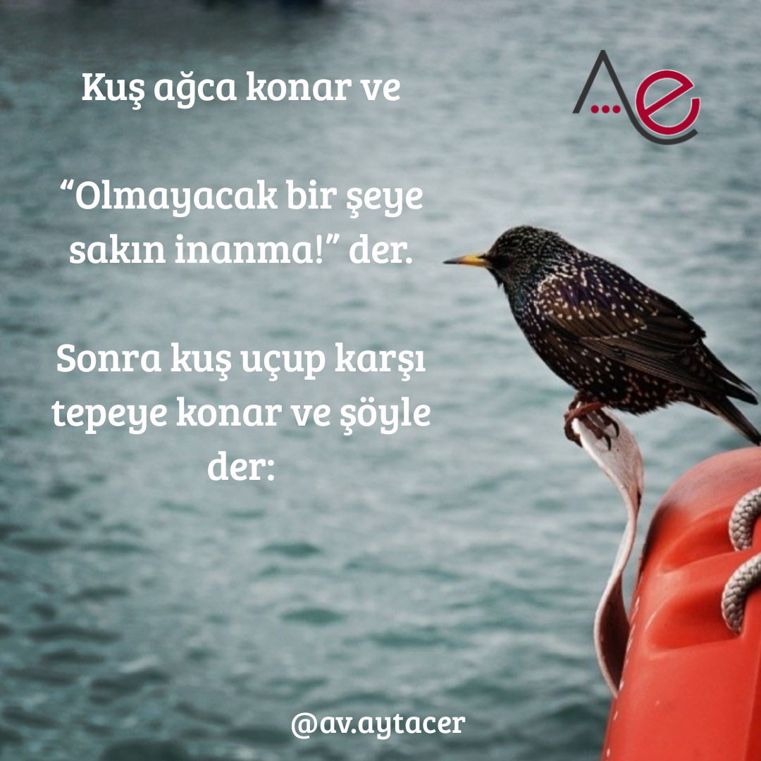 20191130_201215_0000