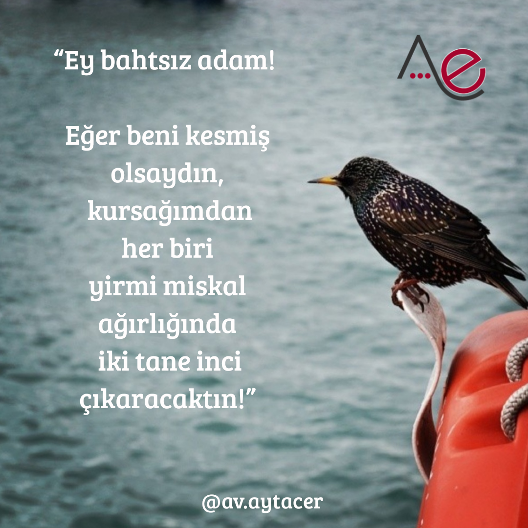 20191130_201251_0000